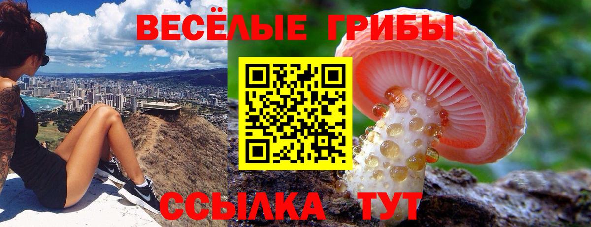 Псилоцибиновые грибы прущие грибы Сызрань